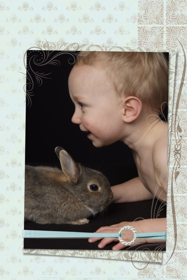 Always eager to take his shirt off, my son gets to know Barley the Bunny 
